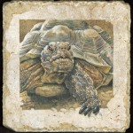 Class Act 2013 Colored Pencil on Travertine stone 8in x 8in 595