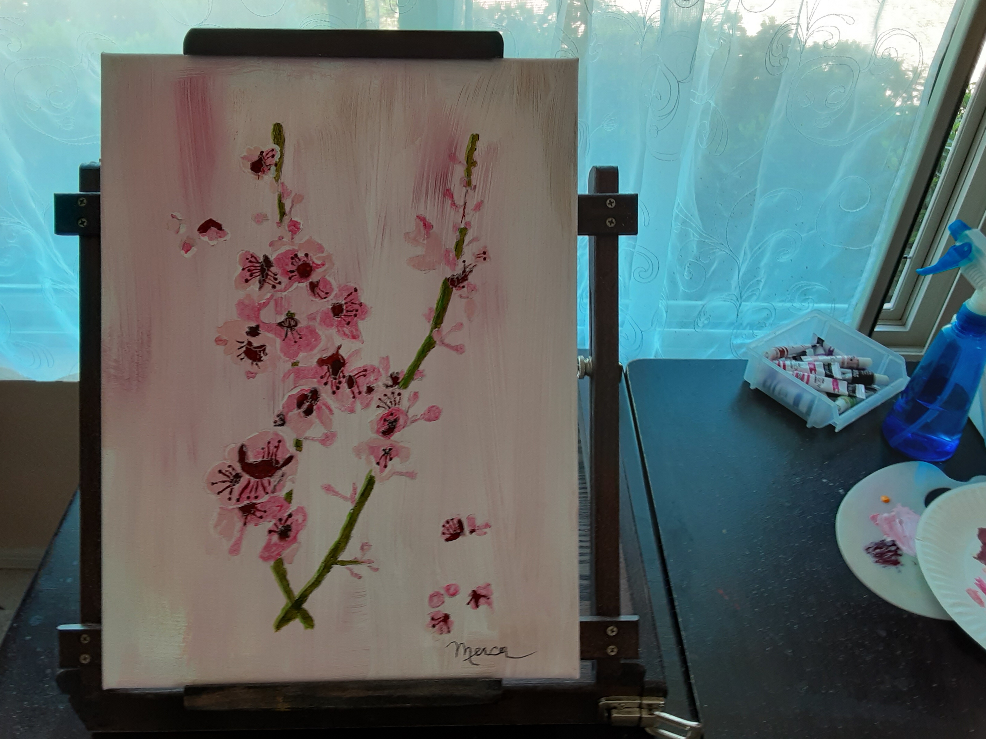 stephen mercer – cherry blossom spring – Arizona Artists Guild